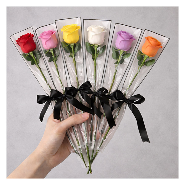 Mother's Day catalog num 12